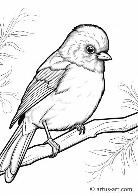Awesome Junco Coloring Page For Kids